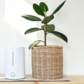 The Truth About Ionic Air Purifiers: An Expert's Perspective