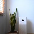 Understanding the Scent of Ionizers: What Air Purifier Ionizer Companies Don't Tell You
