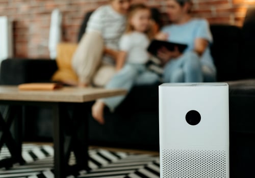 Cleaner, Healthier Air Starts with the Right Custom Air Filter and Ionizer Combo